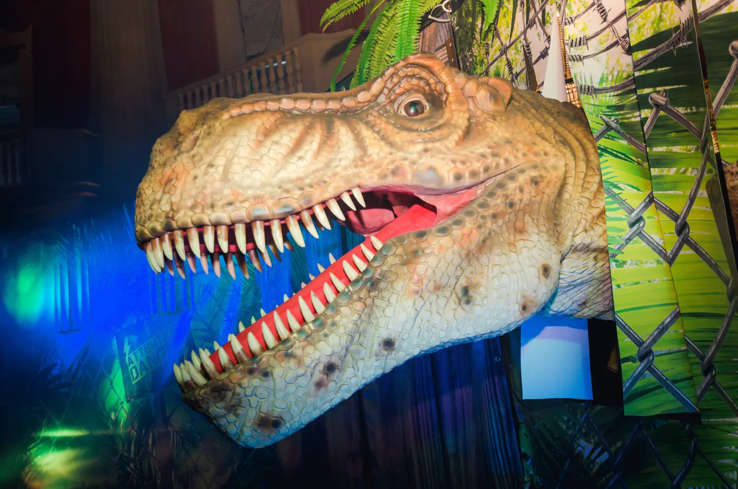 Die lebendige Dinosaurier Show, Dino-Gesicht